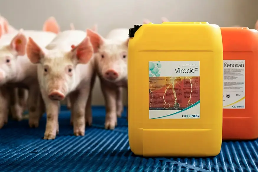 Productes de desinfecció davant una llotja de porcí